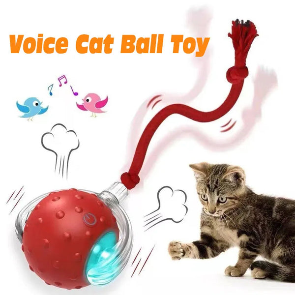 Smart Play Ball for Cats